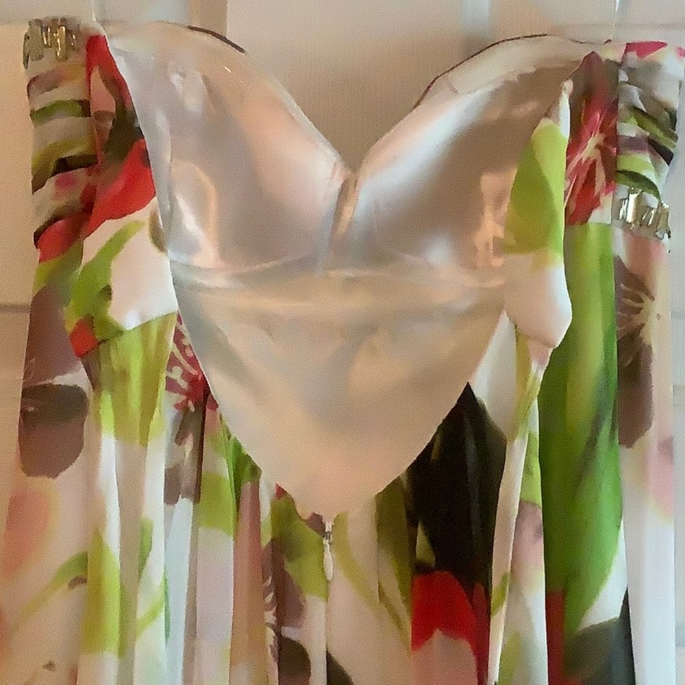 Cache Prom Dress - Picture 5 of 7